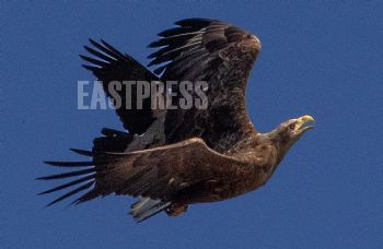 EA316300, Eastpress, Porvoo, Finland